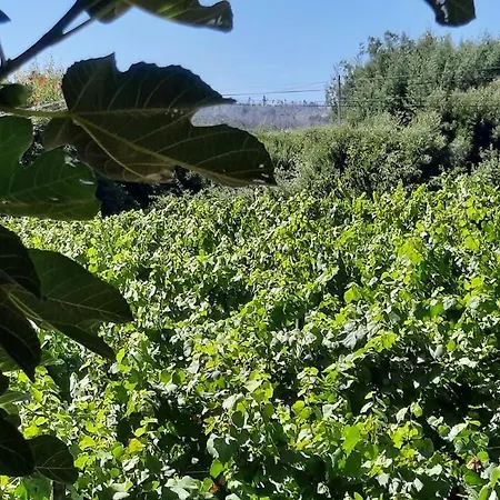 Casa Do Mirante ヴィラ