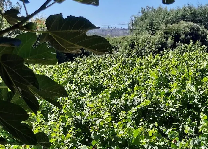 Casa Do Mirante Βίλα